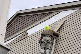 Best Custom Trim and Detailing for Siding  in Buffalo, NY